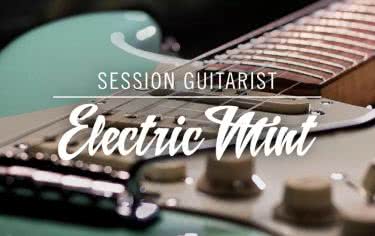 NI Session Guitarist - Electric Mint 