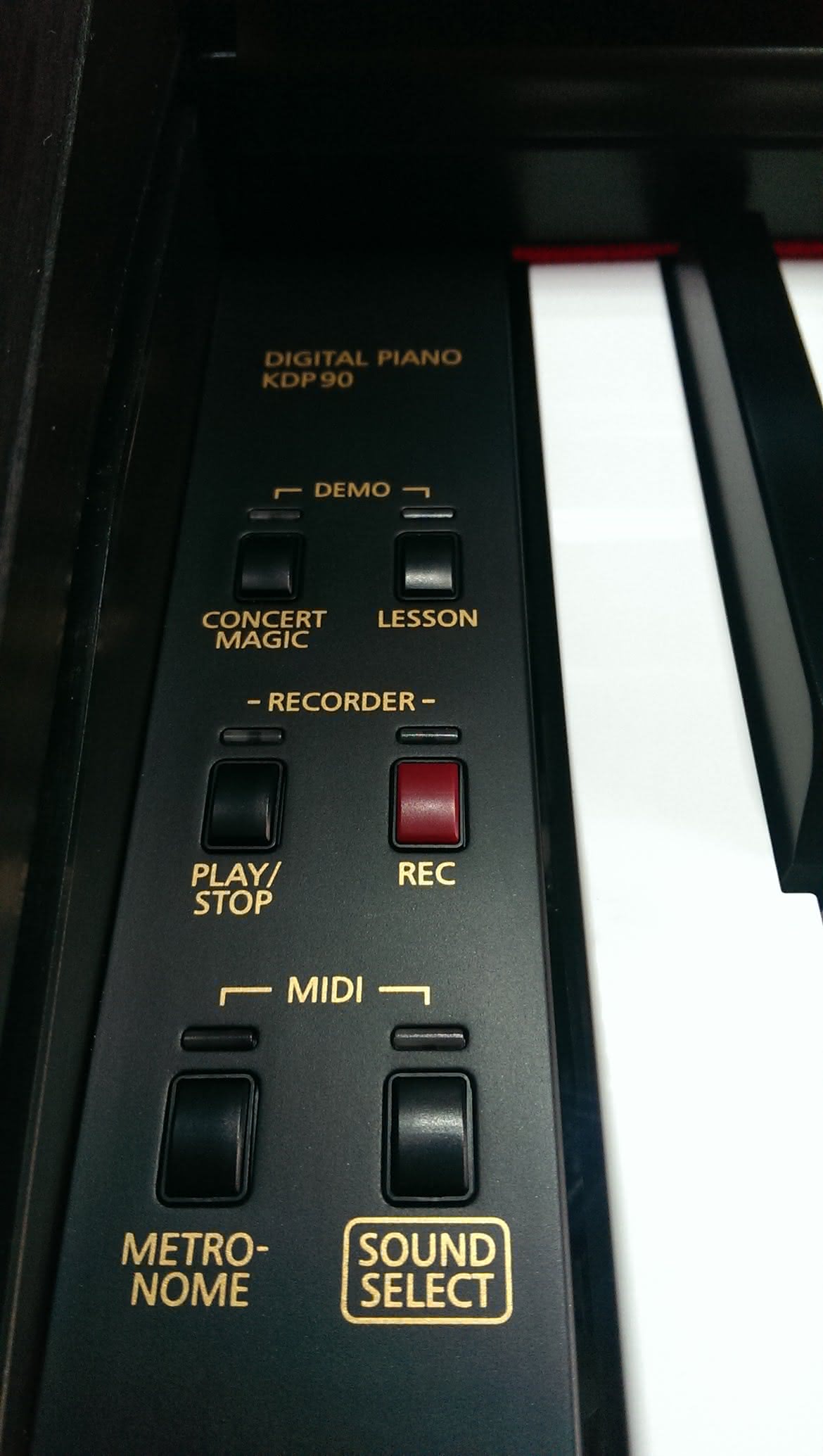 KDP90 - pianino cyfrowe